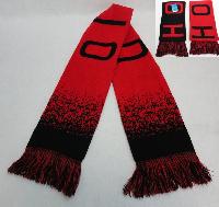 Knitted Scarf with Fringe [OHIO] Digital Fade